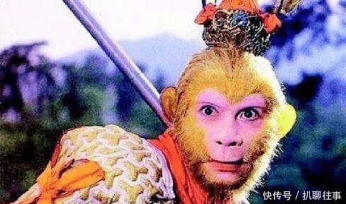 孙悟空|孙悟空一生只跪过3人,见玉帝都不跪,为何却给这个妖怪下跪?