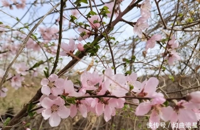 女子|老话说：“女子有红艳，门悬桃花斩”，啥意思？如何压制桃花运？