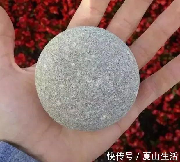 照片&这些照片巧妙得非常艺术,处女座看了很过瘾,连蛇也有“强迫症”