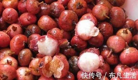 成熟时|以前农村不起眼的这种野果，现已大量种植，80元一斤还在涨