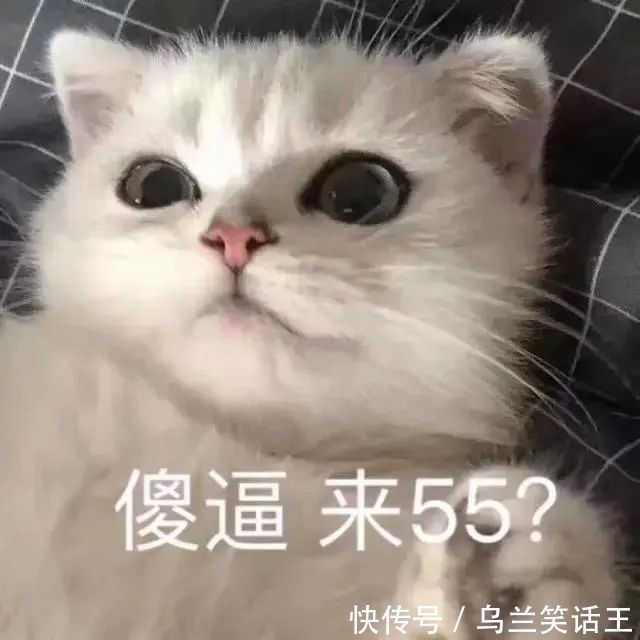 |搞笑表情包|爸爸!