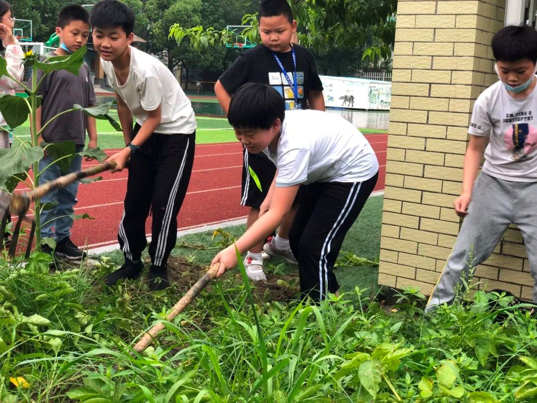 袁隆平|乾元小学打造劳育赋能“双减”新样态