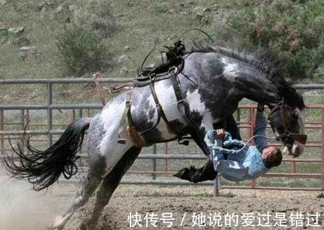 |搞笑图片幽默段子笑话:孩子你真幸福啊,穿着用西瓜做的衣服呢