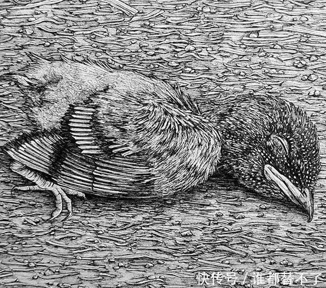 针管$全球最抠女画家，用一支2元针管笔惊艳世界，连英国皇室都惊叹