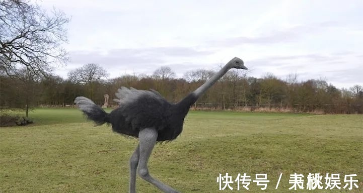 铁丝&她用镀锌铁丝,创作栩栩如生的动物雕塑,逼真程度令人惊讶