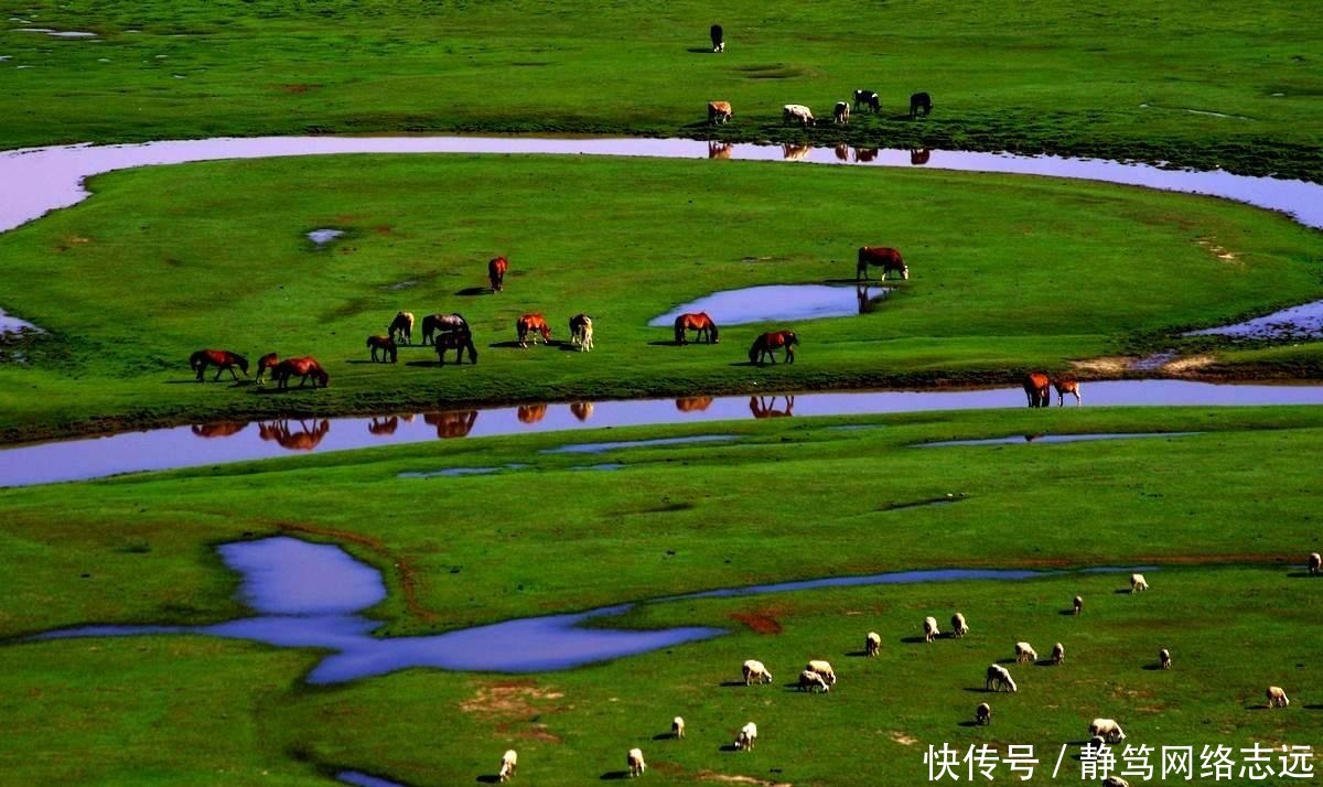 女人|这个女人忽然发现自己是敕勒人,先祖唱响敕勒歌,如今成了蒙古族