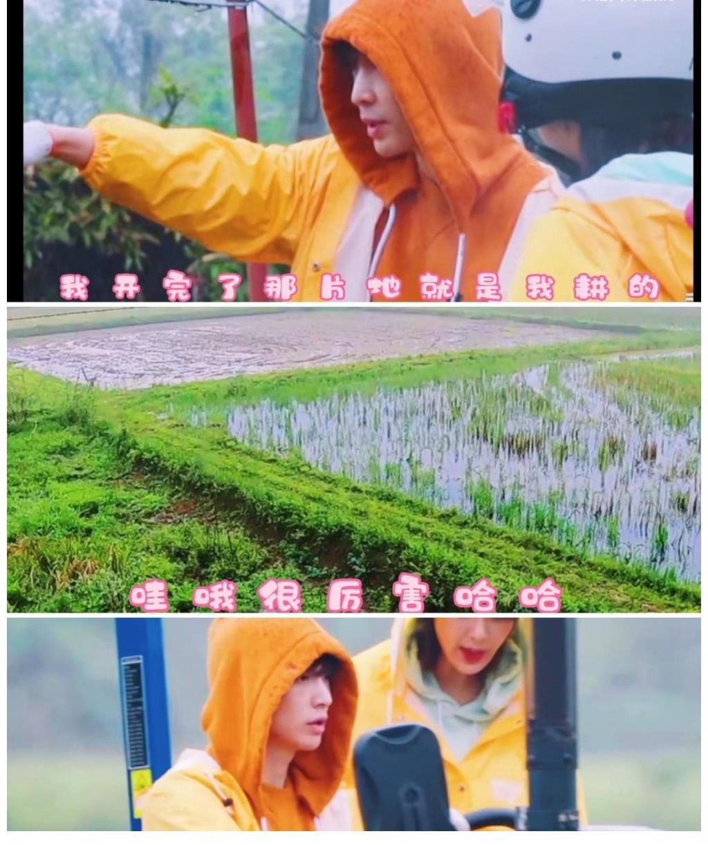 队长|绿腾市林队,核兴舞器队长,小绵羊张艺兴直言不懂爱,想要的太多