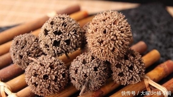 药材|在农村生活数十年,刚知道“路路通”是中药,很多人不认识它