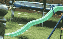 |搞笑动图：快乐跳舞的小家伙，萌萌哒！