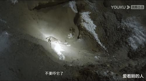 防空洞|奇妙之城：肖战“大众脸”，“拼接照”接连上热搜，这就是影响力