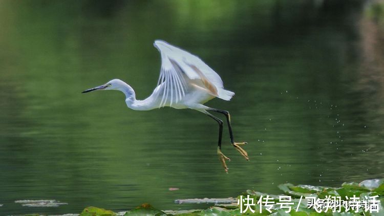 邓氏文学@「邓氏文学」邓世广诗词二十首