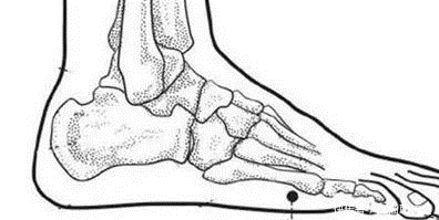 好骨头,吃出来,常吃此方,不再骨质疏松!