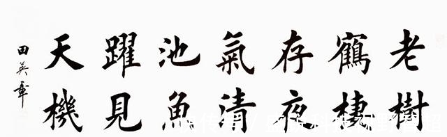 学习书法@书协主席批评田英章：书法误人子弟，毫无章法和笔法，没有创新性