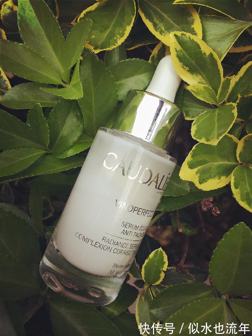 酰胺|能让肌肤变得白嫩细腻的精华安利,这几款精华液,你会爱上吗?