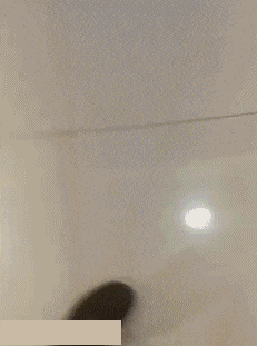 |搞笑GIF:本以为是郎才女貌 怎料想是狼心狗肺