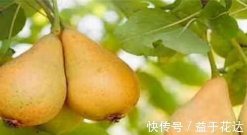 王医师|夏季养生，常吃几种食物，养护肝脏，提高免疫力，早了解早受益