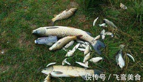 台钓|钓鱼“奇”招数：双铅钓组，不怕刮风流水闹小鱼，野钓最佳钓法！