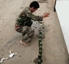 |搞笑GIF：本来我也想吃一口 但是碍于面子没张口