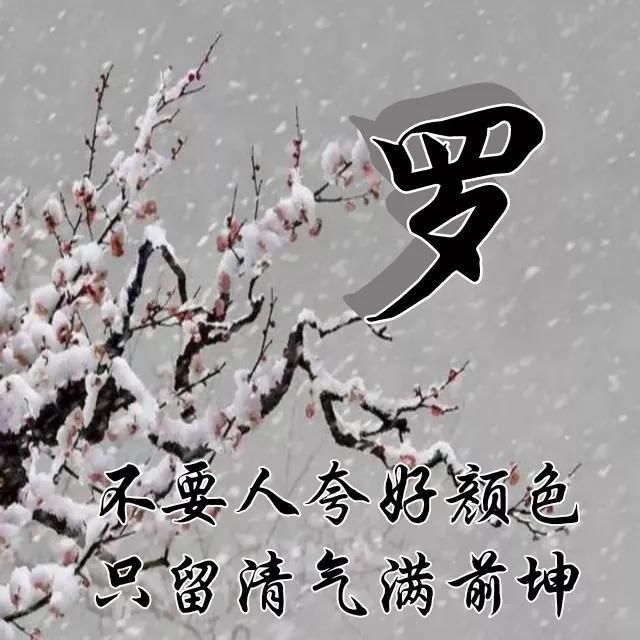  红梅|红梅花儿开，朵朵放光彩，千里冰霜脚下踩