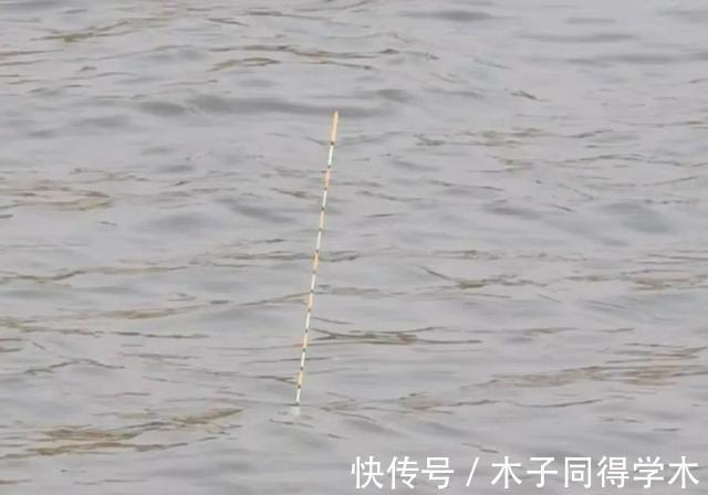 钓法|野钓走水老是“阴漂”怎么办?老钓友告诉你哪种的浮漂最好用