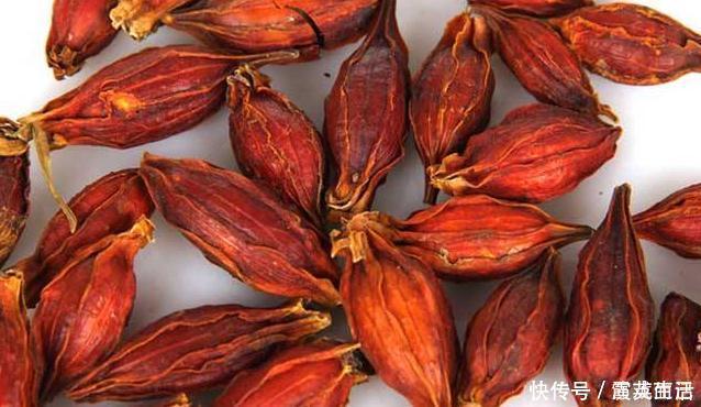 栀子|提个醒大家在路边遇见这种野草,一定要拔回家,现在知道还不晚