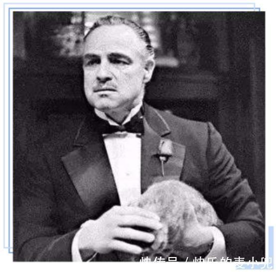 “时髦精”都在穿西装,不仅百搭还帅气,时尚达人抢着穿