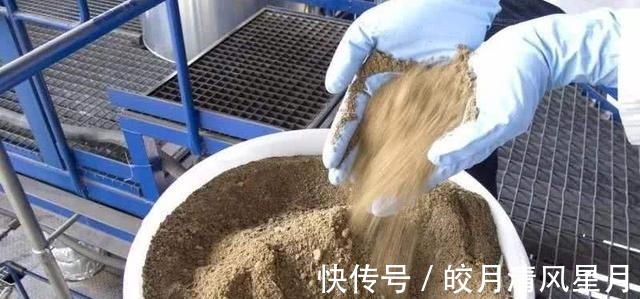 鸡蛋壳|这些垃圾都是养花的“宝贝”，简单处理一下，养啥花都不错！