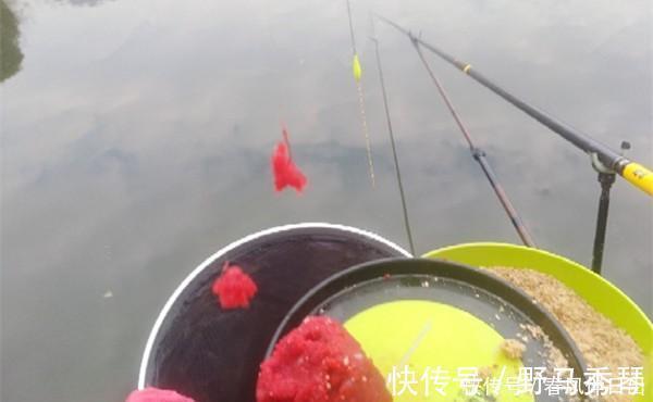 寒冬时节钓鲫鱼,虾肉拉饵有奇效,详细制作步骤在这里