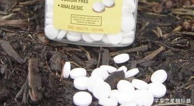 绿萝、吊兰“新玩法”,1片药加上几粒肥,半年养成“绿瀑布”!