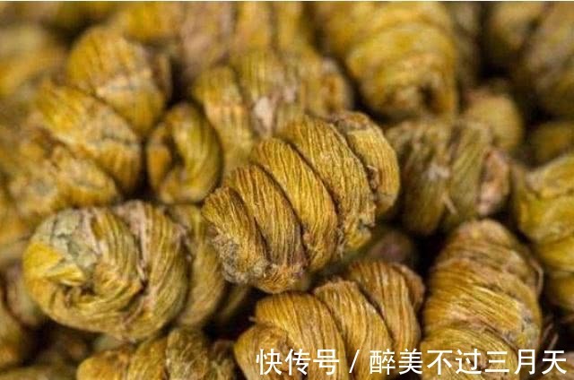 鱿鱼|它们是天然“雄激素”,男人再穷也要坚持吃,肾脏或许会更有活力