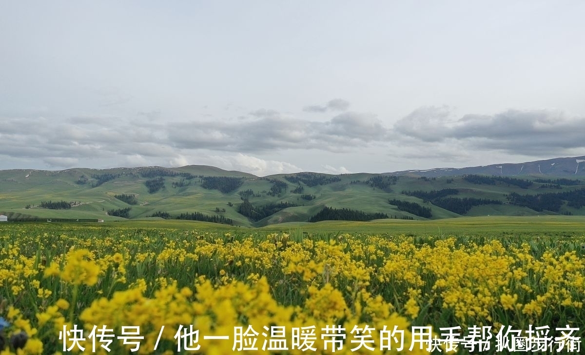 绝句$一代宗师叶嘉莹绝句30首。词心独具无人及,一卷长留万古芳