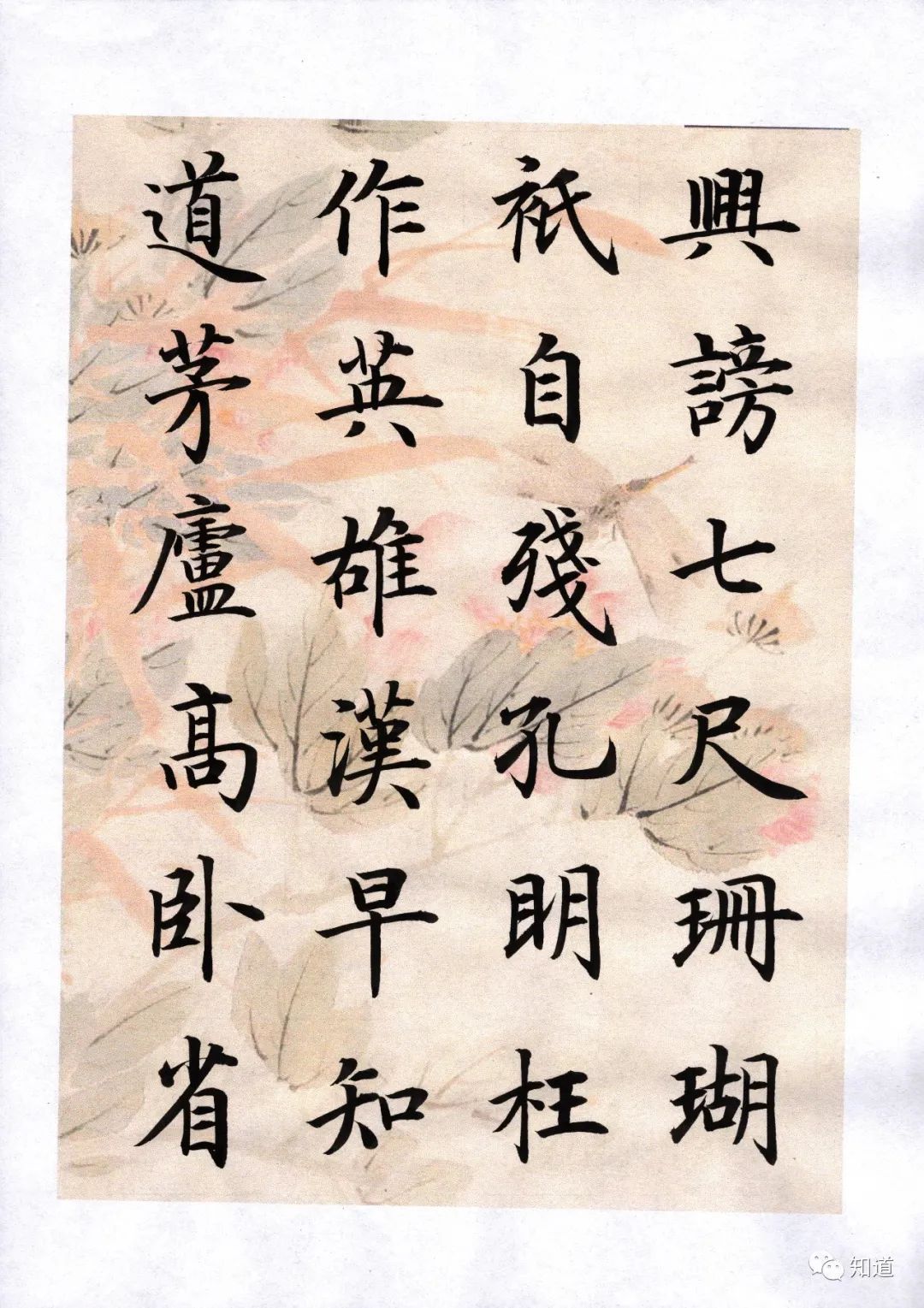 颜勤礼碑@书法故弄玄虚的常用语:悟、天赋、只可意会不可言传