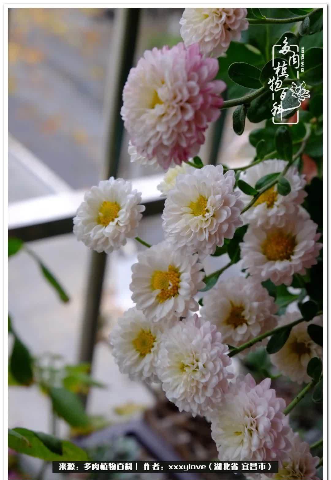 时光匆匆,一闪而逝,这世间万物的美,都值得被记录!