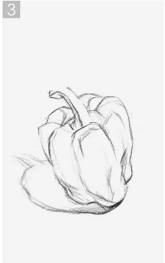 写生#结构素描写生实例:不会画结构素描?老艺术教你画三种常见的素描