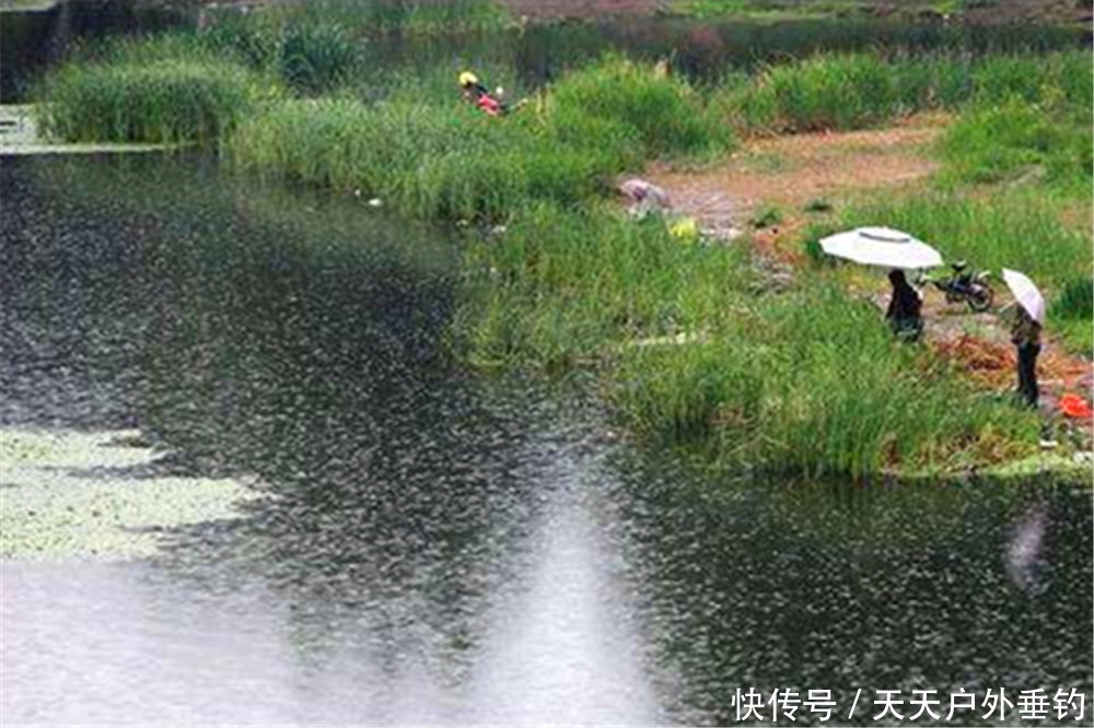 进入5月,钓鱼有4钓4不钓,只要技巧跟得上,夏天钓鱼也能连竿