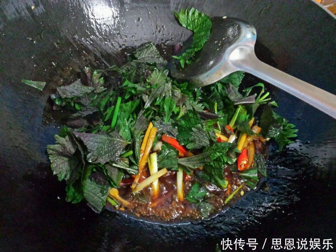 紫苏|过去被用来治感冒,农民以为不能吃,如今5元一斤成美味