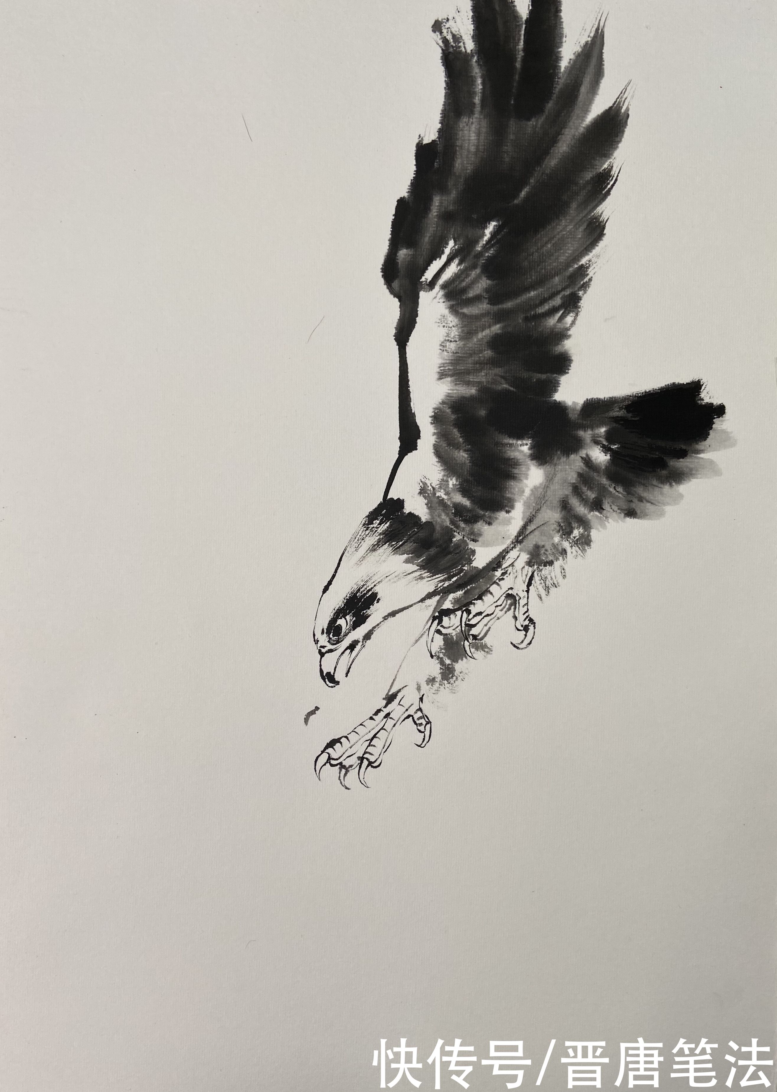  写意|小写意《鹰击长空》的画法和详细步骤图，喜欢国画的朋友收藏了