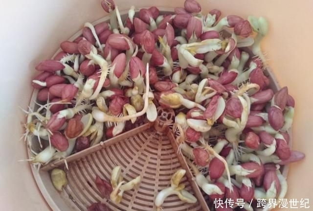 中年|吃花生芽能保护心血管,可所有的都可以吃吗?1种情况要注意