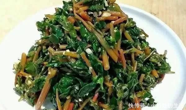 中国公认最好吃的7大野菜,你若是全吃过,请收下我的“膝盖”