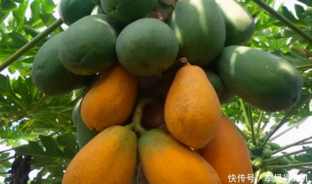营养|女性坚持吃3种食物,补充营养、滋润肌肤,好吃又不贵!