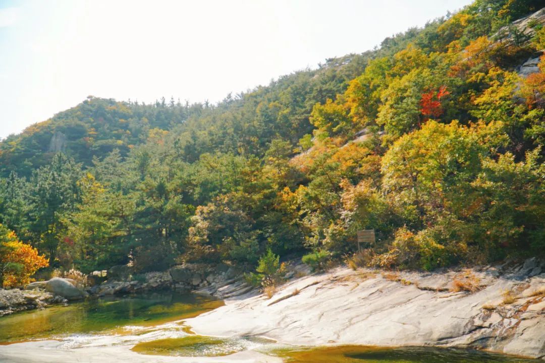 林尽染|号称“海上仙山之祖”的昆嵛山，深秋美得如此动人心魂！