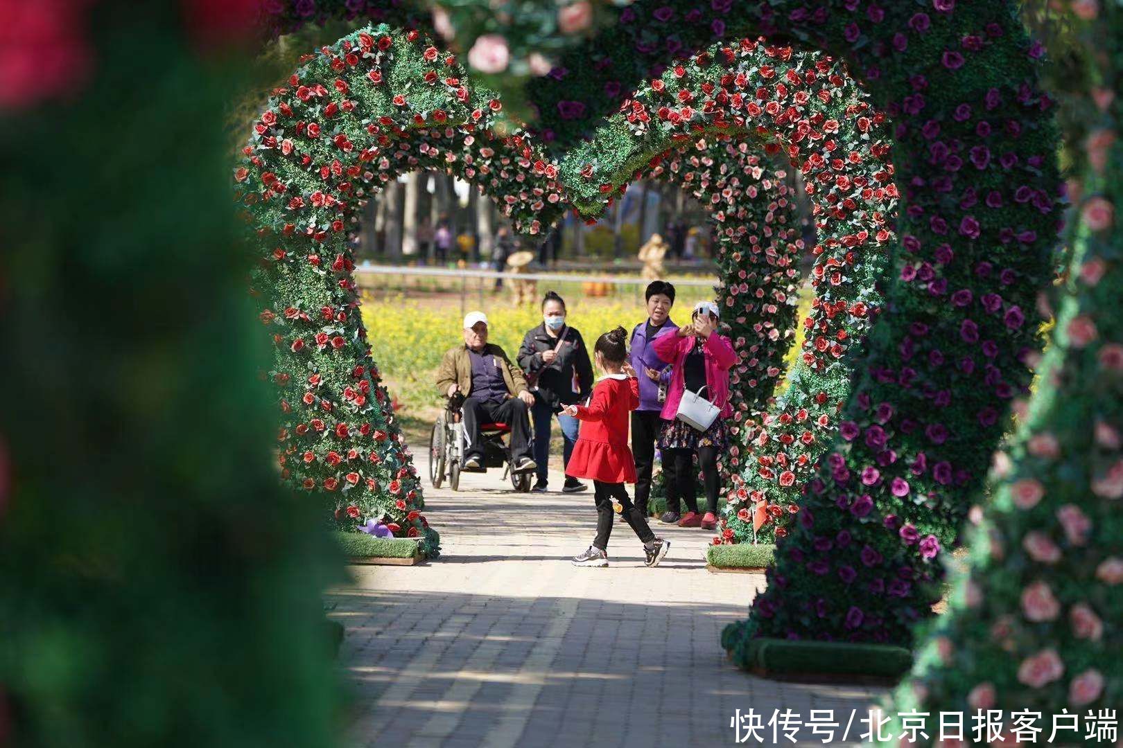 北京近郊最大的油菜花海盛放！快来丰台这个怪村“打卡”吧