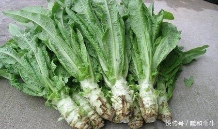 选购|挑选莴笋不是越绿越好,老农教大家5招,轻松选购皮薄脆爽莴笋