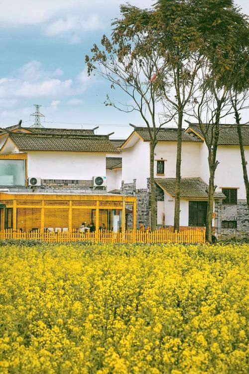 春暖花开日，这些“宝藏”赏花地，值得你打卡