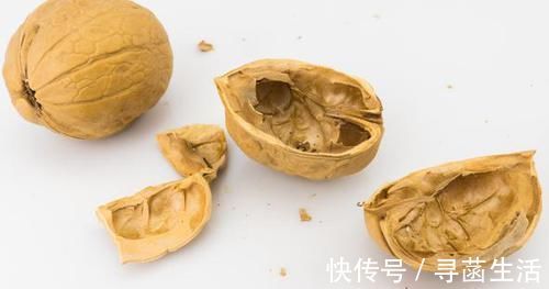 养花|光买便利的“营养土”养花,不行,盆底垫这些小东西才能不烂根