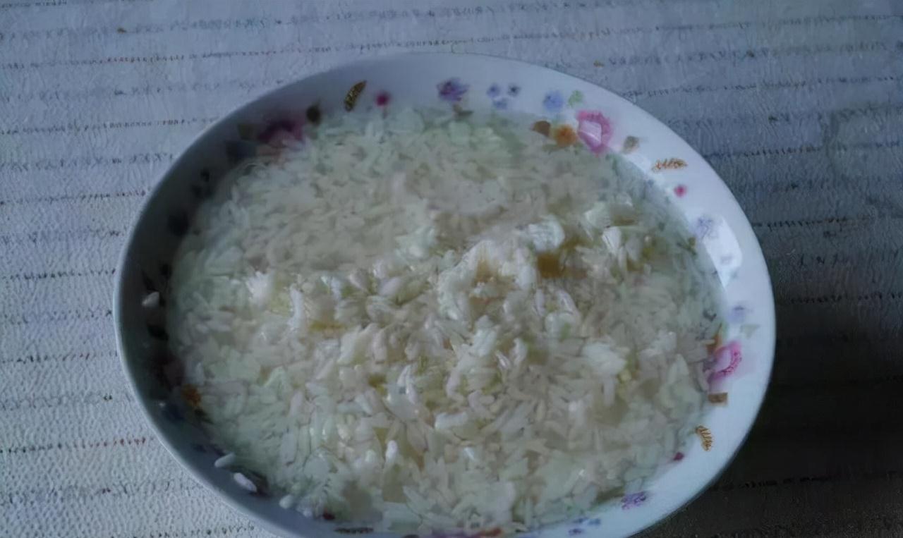 君子兰一点不长,两种傻瓜肥一上,网友养3月像养3年