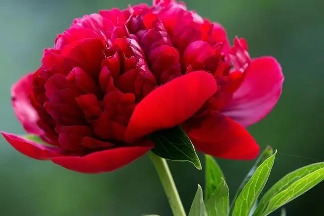 品德|好的人生,是从养成这三个好习惯开始