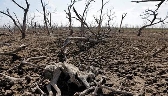 明末|明末小冰期,一系列自然灾害爆发的起点,吹响明亡的号角