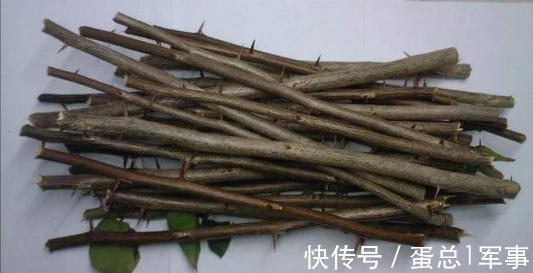 成活率|八九月份，适合扦插“7种花”，成活率高