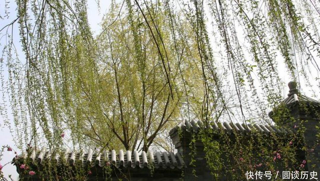 全唐诗&杨万里这首诗美得如诗如画,第一句就是千古名句,从开篇美到结尾